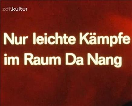 Nur leichte Kämpfe im Raum Da Nang观看