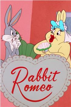 Rabbit Romeo观看