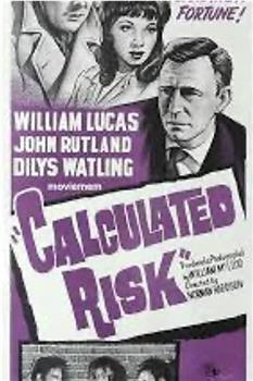 Calculated Risk观看