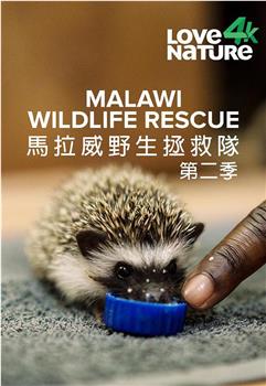 Malawi Wildlife Rescue Season 2观看