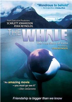 The Whale观看