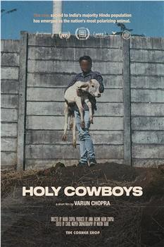 Holy Cowboys观看